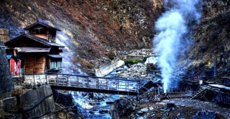 From Tokyo: Snow Monkey Private Customize Day Tour - Why This Tour Offers Real Value