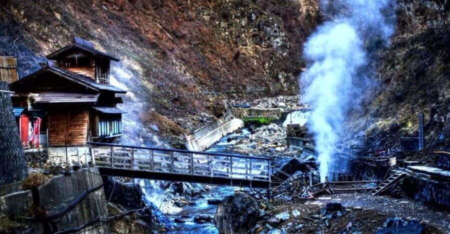 From Tokyo: Snow Monkey Private Customize Day Tour - Why This Tour Offers Real Value