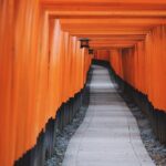 From Tokyo to Kyoto and Nara: A Captivating Full-Day Private Tour - Who Should Consider This Tour?