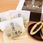 From Tokyo to Nikko: Limited Express Tickets with Souvenir - Flexibility to Explore Nikko