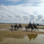 From Ulaanbaatar: Mini Gobi, Wild horse - Terelj tour - Exploring Mongolia in Depth