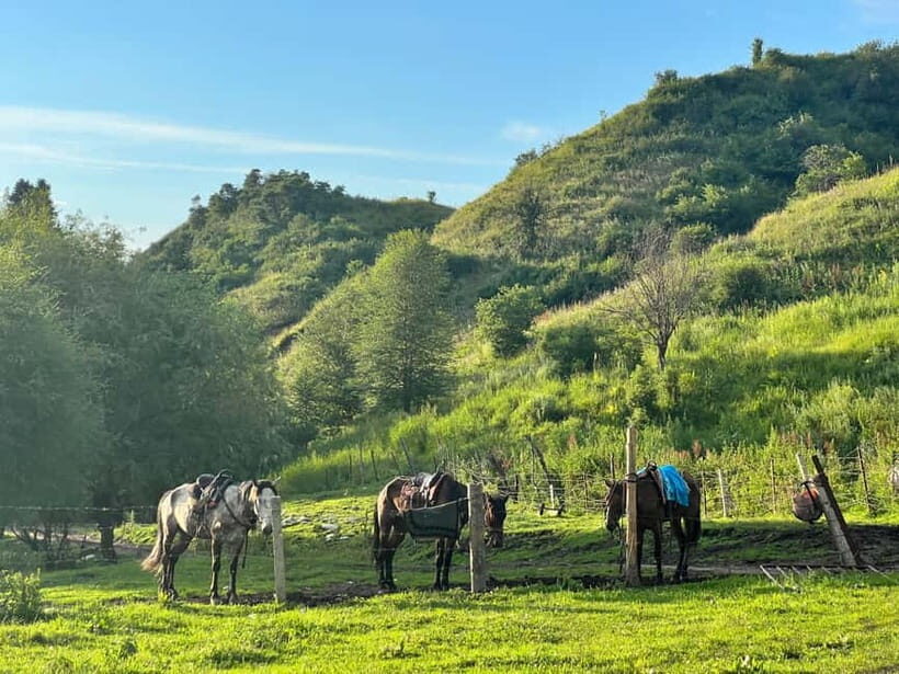 From Yining: Wusun Ancient Trail and Silk Road 7-Day Trek - Exploring the Itinerary in Detail