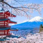 From Yokohama Port Arakurayama & G. Outlets 10 Hour Private Tour - Deep Dive into the Itinerary