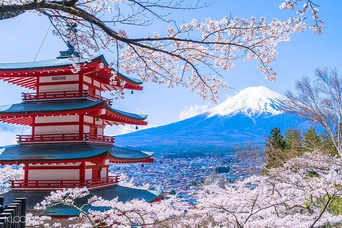 From Yokohama Port Arakurayama & G. Outlets 10 Hour Private Tour - Deep Dive into the Itinerary