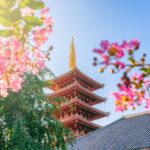 From Yokohama Port Senso-ji Temple & Ginza 10-Hour Private Tour - The Practical Side: Transportation and Pricing