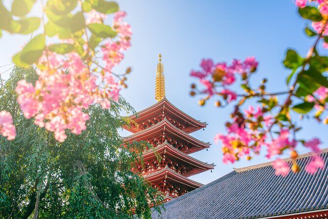 From Yokohama Port Senso-ji Temple & Ginza 10-Hour Private Tour - The Practical Side: Transportation and Pricing