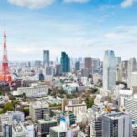 From Yokohama: Tokyo with a Private Licensed Guide - Who Should Consider This Tour?