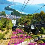 FromOsaka/Kyoto:Hiroshima & Miyajima Private Tour with Lunch - Authentic Experiences and Review Highlights
