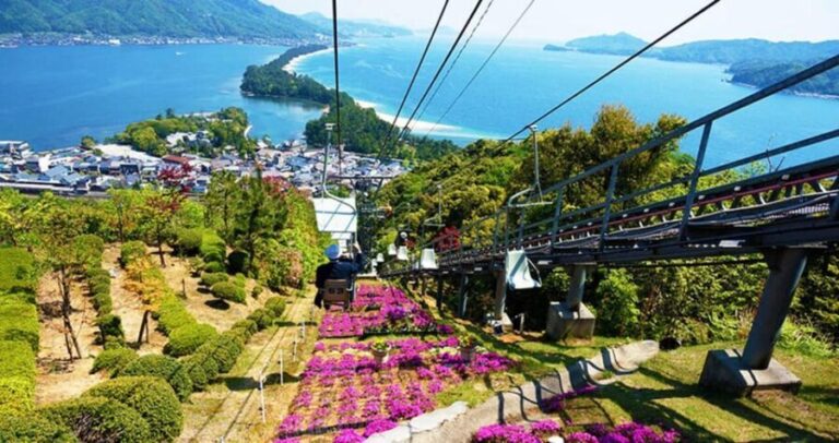 FromOsaka/Kyoto:Hiroshima & Miyajima Private Tour with Lunch - Authentic Experiences and Review Highlights