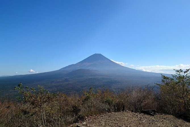 Fuji 5 Lakes Forest Bathing - Exploring the Fuji 5 Lakes Forest Bathing Tour in Detail