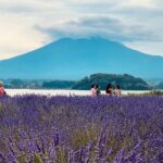 Fuji and Hakone Private Tour with English Guide and Photography - Breaking Down the Itinerary