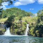 Fuji Forest Hiking 4 hr Tour with a Nature Guide with Transfer - The Sum Up