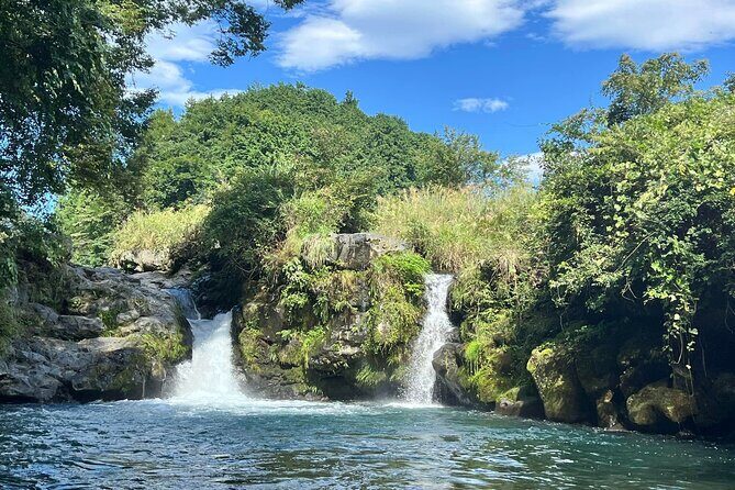 Fuji Forest Hiking 4 hr Tour with a Nature Guide with Transfer - The Sum Up