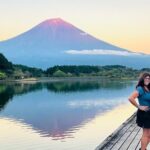 Fuji Highlights Group Car Tour by Shimizu Port with Local Guide - Who Should Consider This Tour?