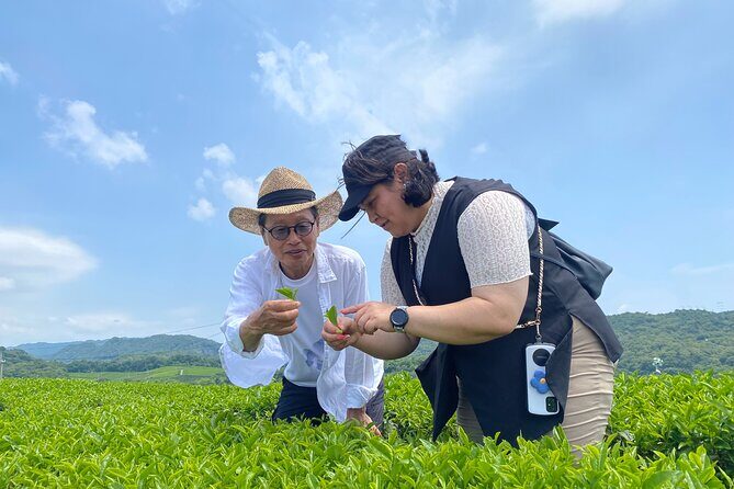 Fujikawachi Tea Fields Walking Tour and Learn Yamaguchi Tea - Who Should Consider This Tour?