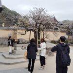 Fukuoka: Dazaifu Tenmangu 2-Hour Guided Tour - Who Should Consider This Tour?