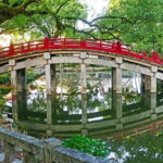 Fukuoka Dazaifu Tenmangu and Fukuoka Tower Private Tour - A Deep Dive into the Tour Experience