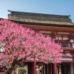 Fukuoka for First Timer: Food, Culture, Historic One Day Tour - Exploring Fukuoka in One Day: A Deep Dive