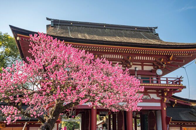 Fukuoka for First Timer: Food, Culture, Historic One Day Tour - Exploring Fukuoka in One Day: A Deep Dive