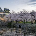 FUKUOKA Hakata Half Day Shared Tour ~Sightseeing with Coffee~ - Why This Tour Offers Great Value