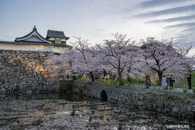 FUKUOKA Hakata Half Day Shared Tour ~Sightseeing with Coffee~ - Why This Tour Offers Great Value