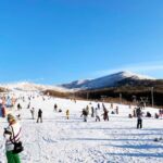Fukuoka: Kuju Forest Park Skiing Grounds Day Tour opt Lesson - The Experience: What It Really Means for You