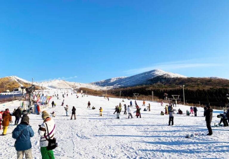 Fukuoka: Kuju Forest Park Skiing Grounds Day Tour opt Lesson - The Experience: What It Really Means for You