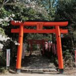 Fukuoka: Round-Trip Dazaifu Shrine Tour from Hakata - A Closer Look at the Tour Itinerary