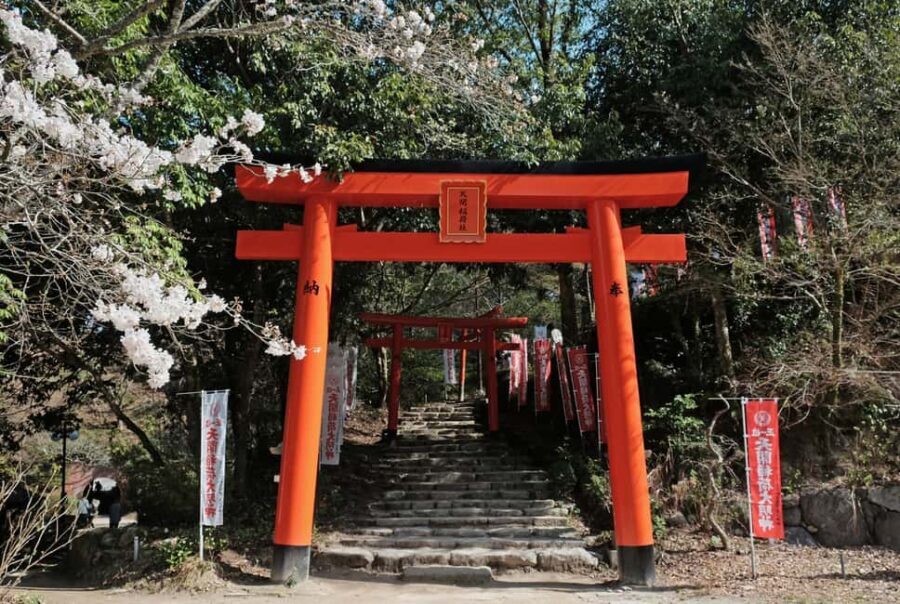 Fukuoka: Round-Trip Dazaifu Shrine Tour from Hakata - A Closer Look at the Tour Itinerary