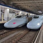 Fukuoka: Round-Trip Shinkansen Tour to Kumamoto Castle - Who Will Benefit Most From This Tour?