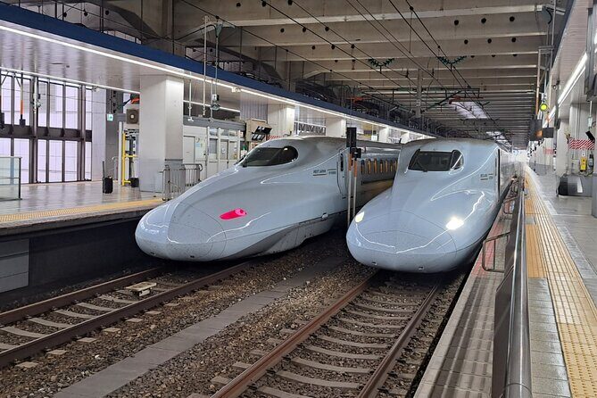 Fukuoka: Round-Trip Shinkansen Tour to Kumamoto Castle - Who Will Benefit Most From This Tour?
