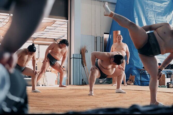 Fukuoka Sumo Morning Practice Watching Tour - Who Should Book This Tour?