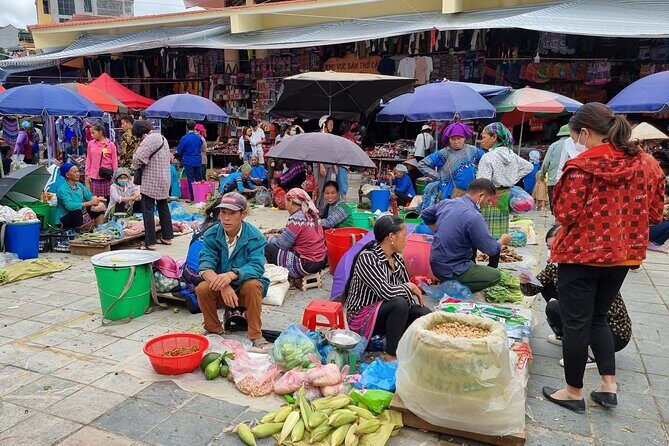Full-day Bac Ha Sunday Market Private Tour from Sapa - What We Think: The Real Value