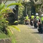 Full Day Bali Scooter Tour - Final Thoughts