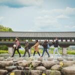 Full Day Busan and Gyeongju Guided Tour - Who Is This Tour Best For?