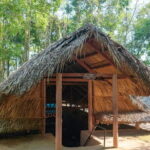 Full day Cu Chi Tunnels and Mekong Delta - Detailed Review of the Tour Experience