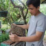 Full-Day Discover Northern Phu Quoc Island - The Sum Up