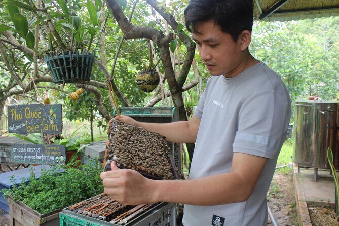 Full-Day Discover Northern Phu Quoc Island - The Sum Up