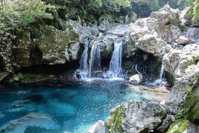 Full Day Essential Jeju Island Private tour for West Course - Final Thoughts