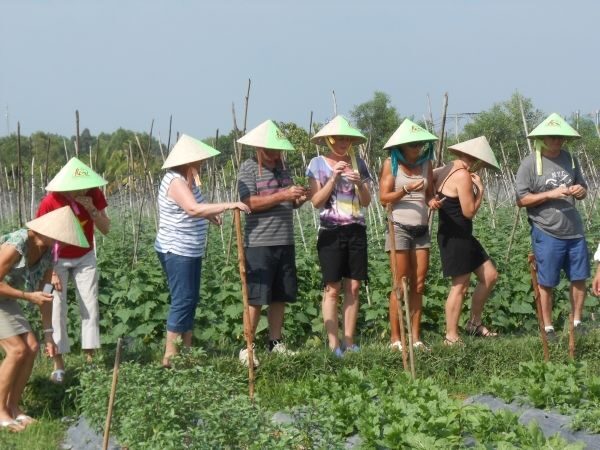 Full-Day Farming & Cooking class at Agricultural Village - The Experience: Authentic, Engaging, and Delicious