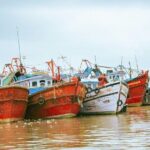 Full Day Guided Mangalore Private Tour with Lunch - The Sum Up