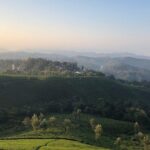 Full day in hiking in Munnar (By Munnar Info) - Authenticity and Guide Expertise