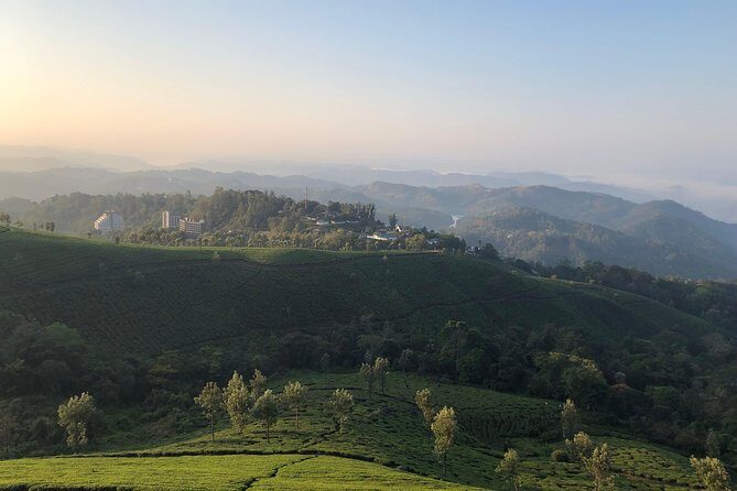 Full day in hiking in Munnar (By Munnar Info) - Authenticity and Guide Expertise