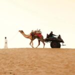 Full-Day Jaisalmer Desert Safari & City Tour with Camel Ride - Who Should Consider This Tour?