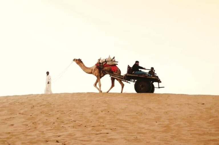 Full-Day Jaisalmer Desert Safari & City Tour with Camel Ride - Who Should Consider This Tour?