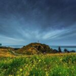 Full-Day Jeju Island UNESCO Tour for Cruise Layover Guests - What Travelers Say: Authentic Feedback