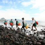 Full Day Jeju Private Customizable highlight Tour - Exploring Jeju’s Highlights at Your Own Pace