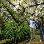 Full-Day Kinabalu Park and Poring Hot Spring Day Trip - Cross the Canopy: Suspension Bridges with a View