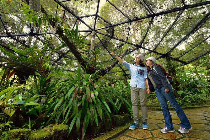 Full-Day Kinabalu Park and Poring Hot Spring Day Trip - Cross the Canopy: Suspension Bridges with a View