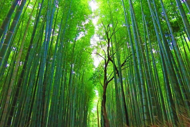 Full Day Kyoto Chartered Taxi Tour - FAQ